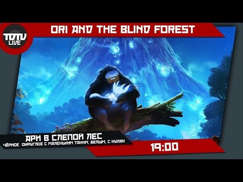 Видео: Ари В Слепой Лес - Чёрное округлое с маленьким таким, белым, с кулак #1