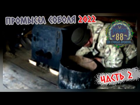 Видео: Регион 88 | Промысел соболя 2022. Часть 2