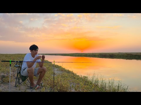 Видео: Шардара 2025 Рыбалка!Клюет как из ведра !Сазаны,Караси!60+ рыба