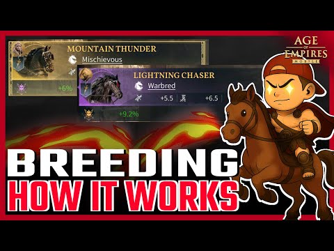 Видео: Все Темпераменты Лошадей ОБЪЯСНЕНЫ | Гид по Разведению Лошадей | Age of Empires Mobile