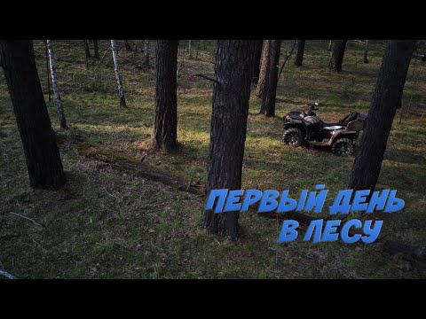 Видео: НАЧАЛО ПРОЕКТА "ЛЕСНАЯ СТОЛЯРКА"