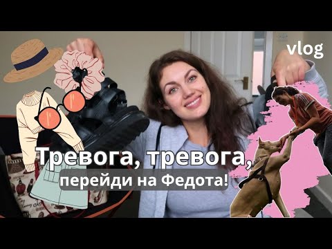 Видео: Время собирать чемодан! Собаки против стресса. Влог.