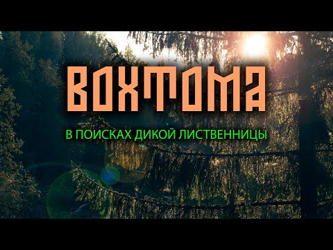 Видео: ВОХТОМА. В ПОИСКАХ ДИКОЙ ЛИСТВЕННИЦЫ. ЧАСТЬ 2.
