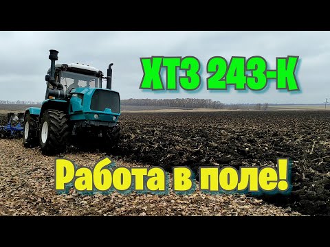 Видео: Трактор ХТЗ 243К  в поле!