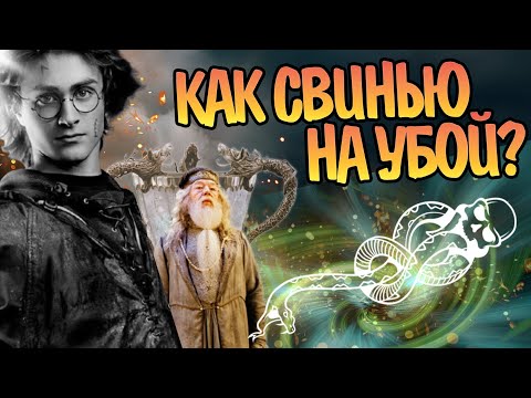 Видео: Зачем Дамблдор дал Гарри Поттеру участвовать в Турнире?