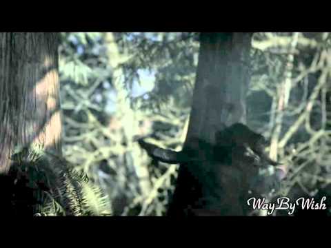Видео: Елена и Элайджа - Осень