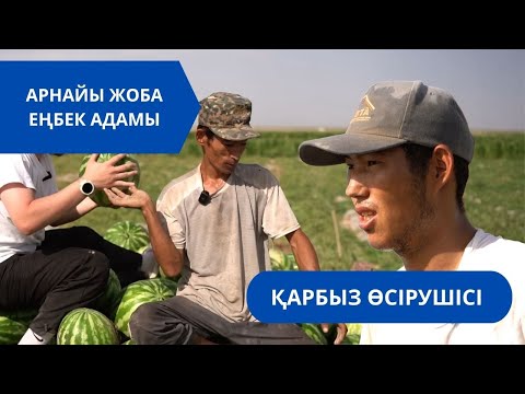 Видео: «Еңбек адамы». Арнайы жоба | Қарбыз өсірушісі