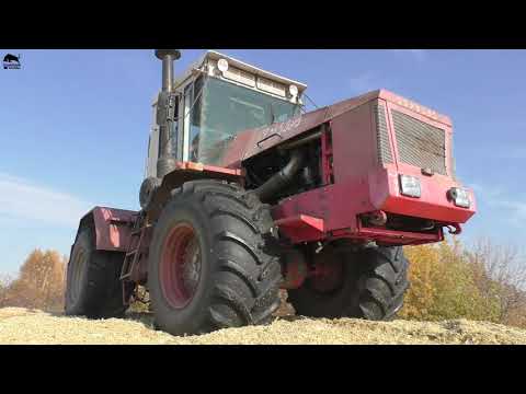 Видео: Уборка кукурузы на силос Кировец К744 и Jaguar 690 SL в работе