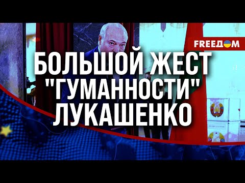 Видео: ⚡️ "Помилования" на КАМЕРУ: Лукашенко взялся ОТМЫВАТЬ имидж