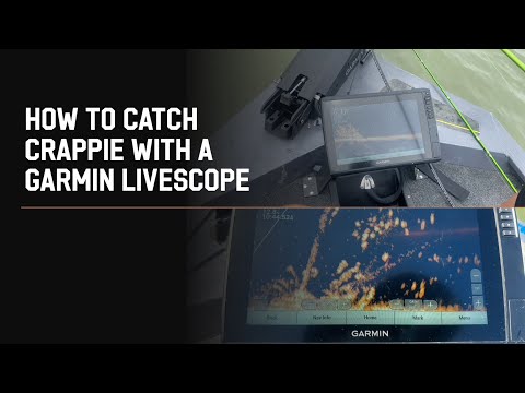 Видео: Как поймать краппи с помощью Garmin Livescope