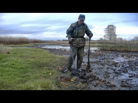 Видео: Монет много, но сохран...#406