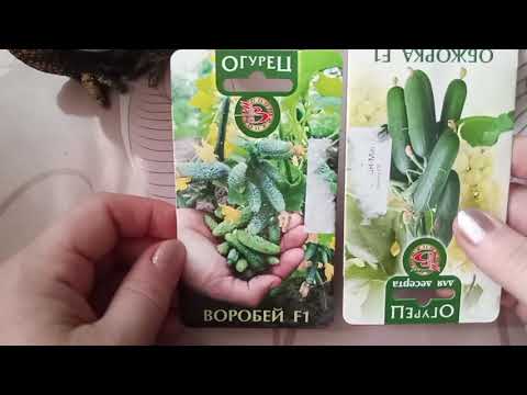 Видео: Томаты новые для меня,купила семена и что ещё буду высаживать.часть3