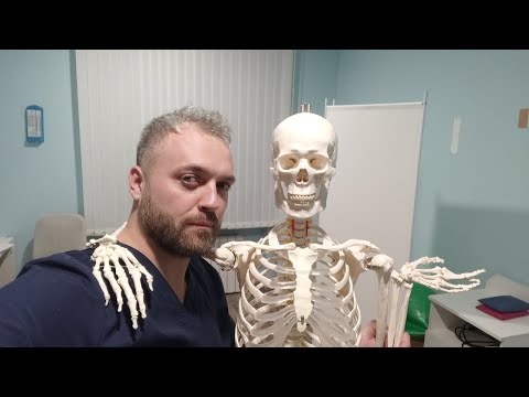 Видео: С чего начать тренировки. Что проверить. Вредные упражнения. Эфир со спортивным врачом от 3.02.2022