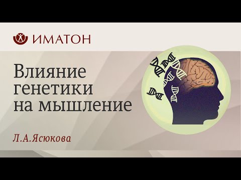 Видео: Влияние генетики на мышление