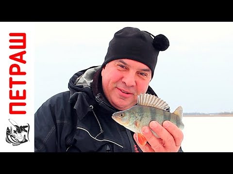 Видео: Ловля ОКУНЯ зимой НА БАЛАНСИР Зимняя рыбалка