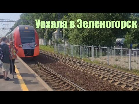 Видео: В Зеленогорск на ласточке. Город на Финском заливе.