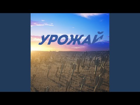 Видео: Урожай