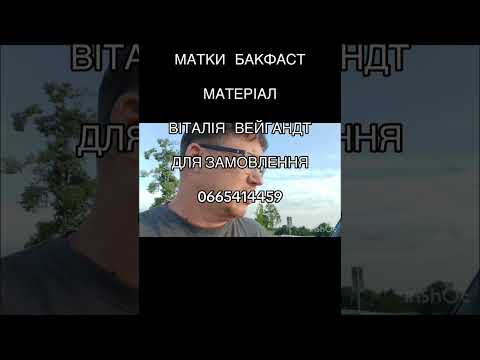 Видео: Матки бакфаст з Німеччини. Матеріал Віталія Вейгандт. Острів Руден