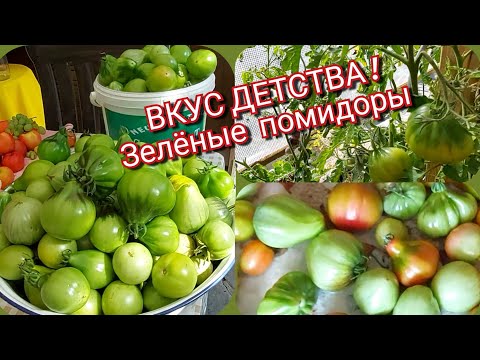 Видео: 💯 Вкуснее  спелых! Наслаждайтесь вкусом  натуральных  солёных помидор!  Зелёные помидоры.