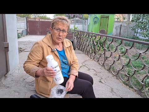 Видео: Как прижились розы и чем обрабатываю коров ...