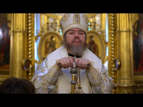 Видео: Других путей нет