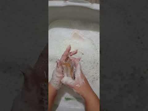 Видео:         ⚜️БЕЗ МЫЛА❤️ ЖИЗНЬ  УНЫЛА⚜️САБЫН и НЕФИС 🌈✨️