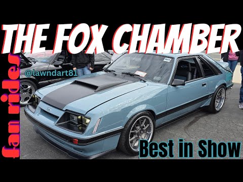 Видео: Фокс-камера | Fan Rides 132