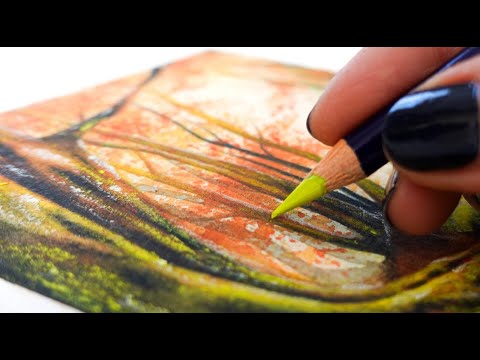 Видео: КАК ПОЛЬЗОВАТЬСЯ КАРАНДАШАМИ INKTENSE + АКВАРЕЛЬНЫМИ КАРАНДАШАМИ — руководство для начинающих (пр...
