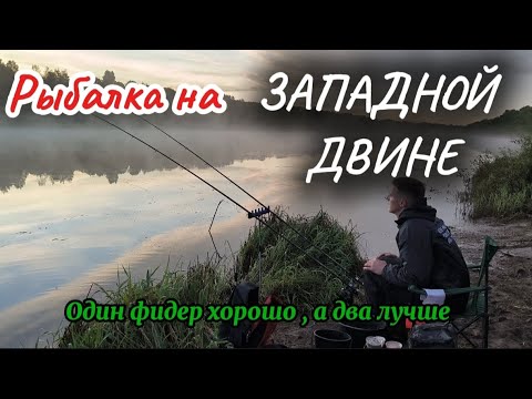 Видео: Река на которой стоит половить... Рыбалка на фидер... Ловля ЛЕЩА
