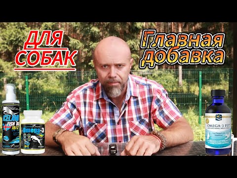 Видео: Главная добавка для собак. #собака