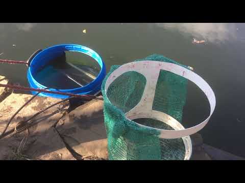 Видео: Как сделать мощный СКИММЕР для большого пруда из обычной 65л канистры (бочки) и погружного насоса