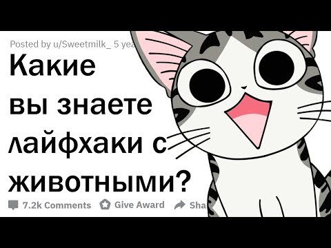 Видео: ЛАЙФХАКИ С ЖИВОТНЫМИ, О КОТОРЫХ ТЫ НЕ ПОДОЗРЕВАЛ
