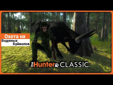 Видео: Охота на Водяного Буйвола в theHunter Classic !