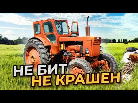 Видео: ПОДБОР ТРАКТОРА Т40АМ / Один хозяин БЕЗ ДТП