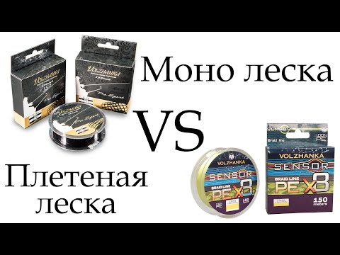Видео: Фидерная леска. Моно леска против плетенной