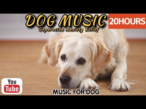 Видео: 20 часов любимой музыки собак🐶💖Музыка для сна собак 🐶🎵 Музыка для снятия беспокойства при разлуке🎵