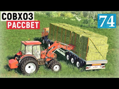Видео: Farming Simulator 19 - Собираю тюки сена. Перевозка сена и навоза - Фермер в совхозе РАССВЕТ # 74