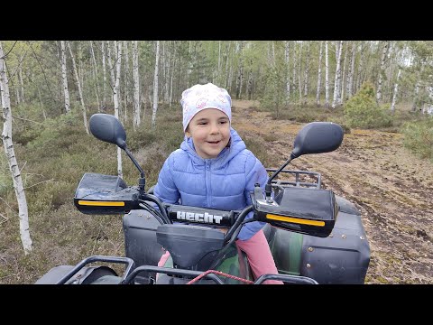 Видео: Дочка проверяет фотоловушку. Интересные кадры животных. Suntek HC-950Ultra-li