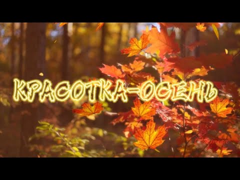 Видео: Carmena / Красотка - Осень / Джаз 