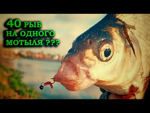 Видео: МОРМЫШИНГ. КАК ПОЙМАТЬ 40 РЫБ, НА ОДНОГО МОТЫЛЯ?