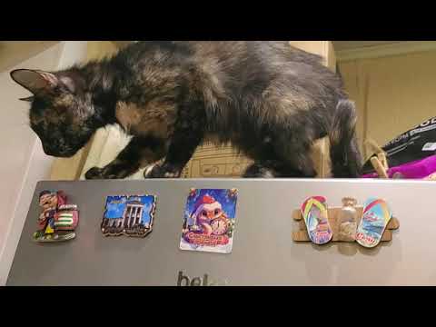 Видео: Всем Добрый вечер! Подлива из того что было... 