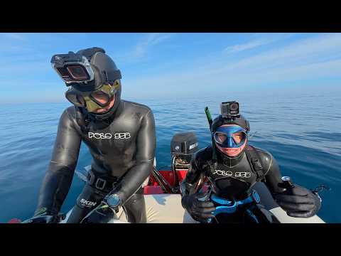 Видео: Подводная охота на Сцилии с местным профи