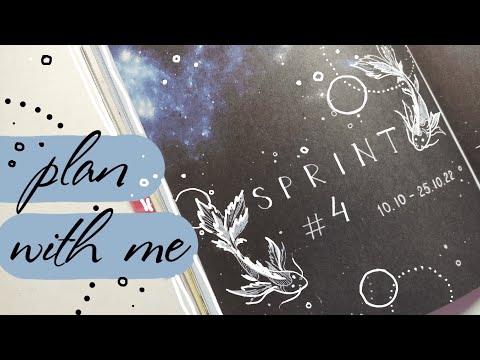 Видео: ✨Планирование СПРИНТА 🔥🖤 Оформляю только ОДНОЙ РУЧКОЙ! 😱🐟 Простой арт карпов 📘 Ежедневник