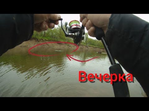 Видео: Вечерка! сима и не только!