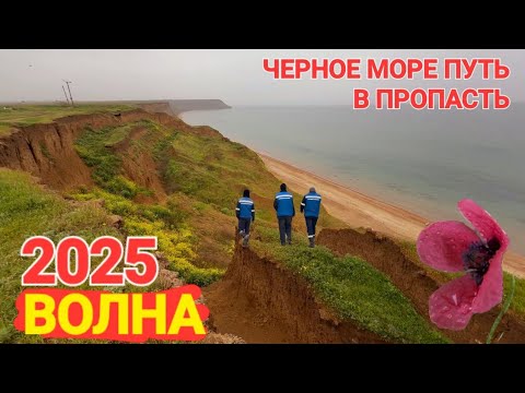 Видео: Темрюкский район: Поселок #Волна Черное море Путь в пропасть! Штаб волонтеров Дельфин