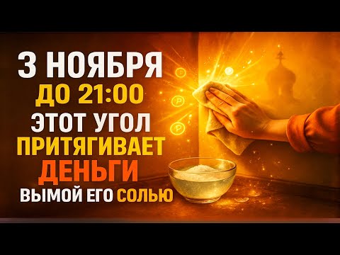 Видео: 3 НОЯБРЯ: Четвёртый угол БЛОКИРУЕТ деньги — вымой его солью до 21:00