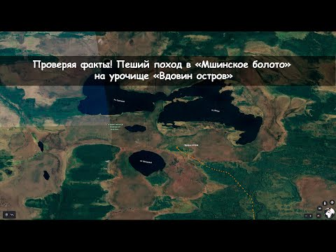 Видео: Проверяя факты. Мшинское болото, Урочище Вдовин остров.  Пеший поход.