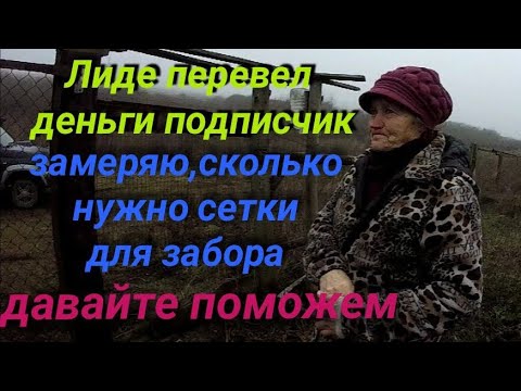 Видео: Помощь собакам!Помощь кошкам!