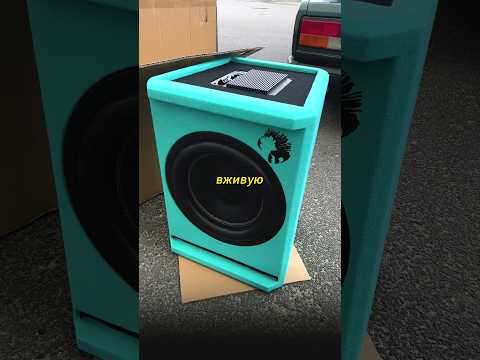 Видео: БЮДЖЕТНЫЙ САБ делает ветер Piranha 15A Marine V.2 #автозвук #dlaudio #сабвуфер #громкийсиндикат