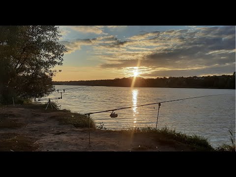 Видео: Ловля САЗАНА та ЛЯЩА на флет на Дніпрі